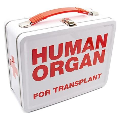 human organ metal storage box|Aquarius Human Organ Large Gen 2 Tin Storage Fun Box.